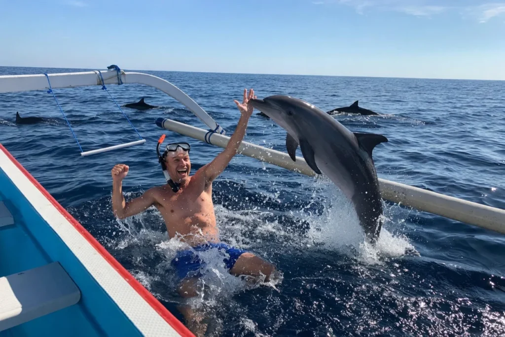 bali dolphin tour lovina snorkeling sekumpul waterfalls