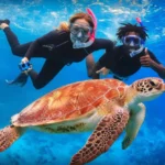 lempuyang tirta gangga blue lagoon snorkeling tour, bali tour package, lempuyang temple tour, tirta gangga tour, blue lagoon snorkeling bali, bali snorkeling tour, bali tour trip, bali private driver tour, bali cultural tour, bali adventure tour