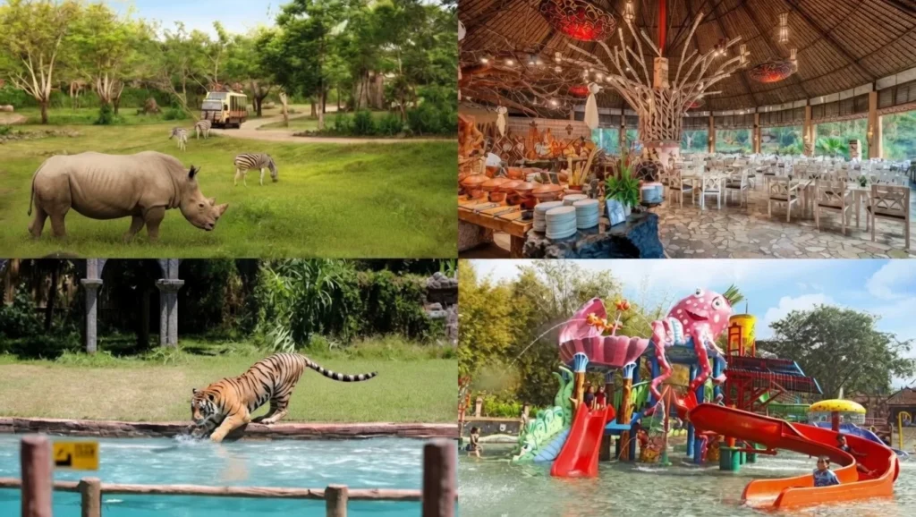 bali safari tour safari park animals bali