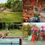 bali safari tour safari park animals bali