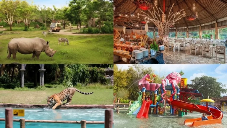 bali safari tour safari park animals bali