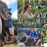 bali zoo tour animal experience bali zoo park